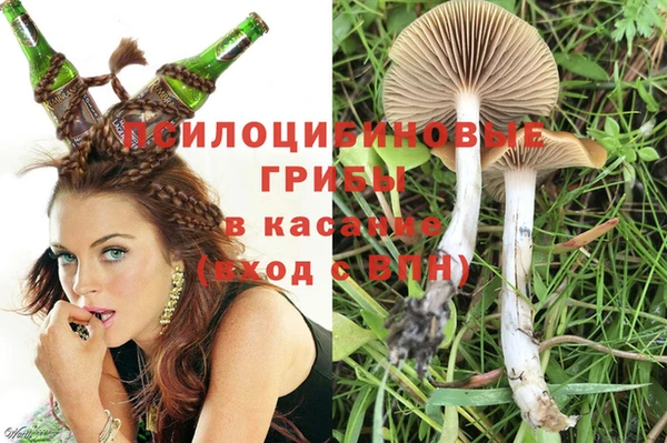 apvp Богданович