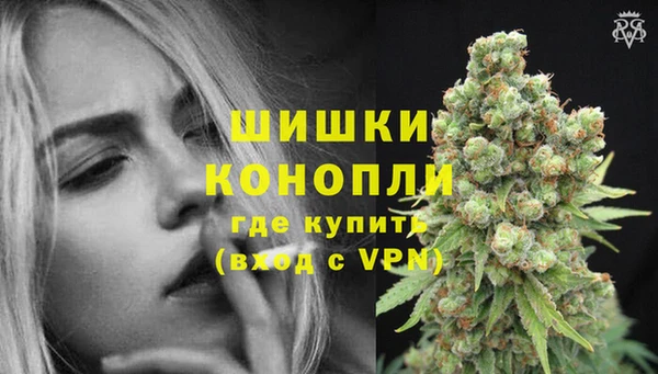 apvp Богданович