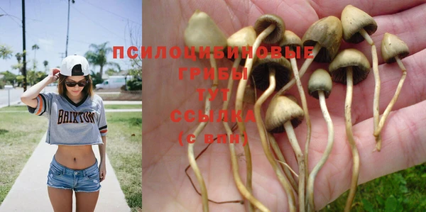 apvp Богданович