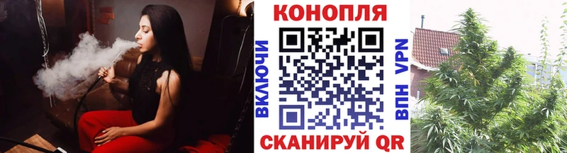 Купить где  Елизово  МАРИХУАНА тримм 